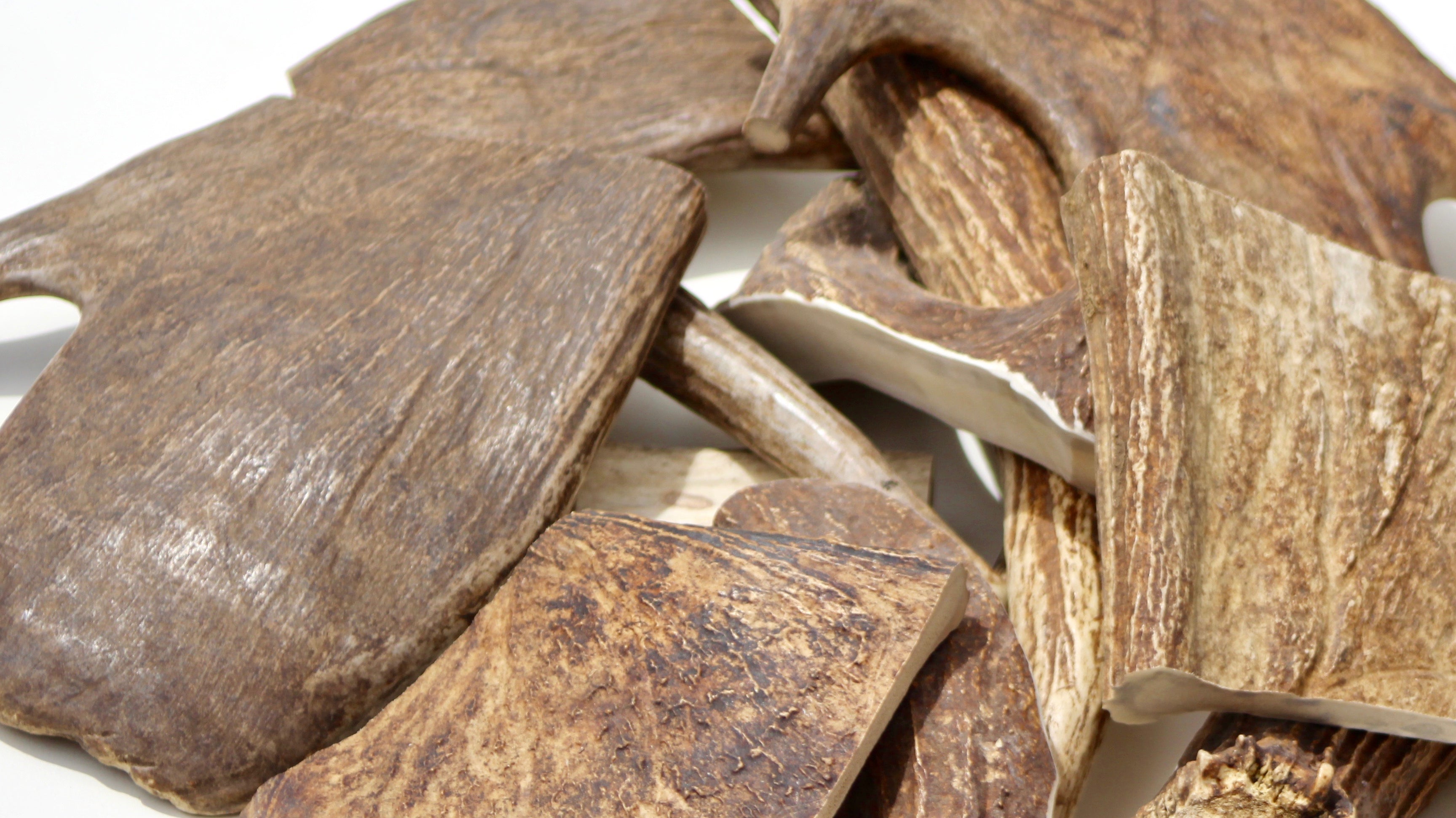 Elk, Deer, and Moose. What is the best antler chew for my dog?