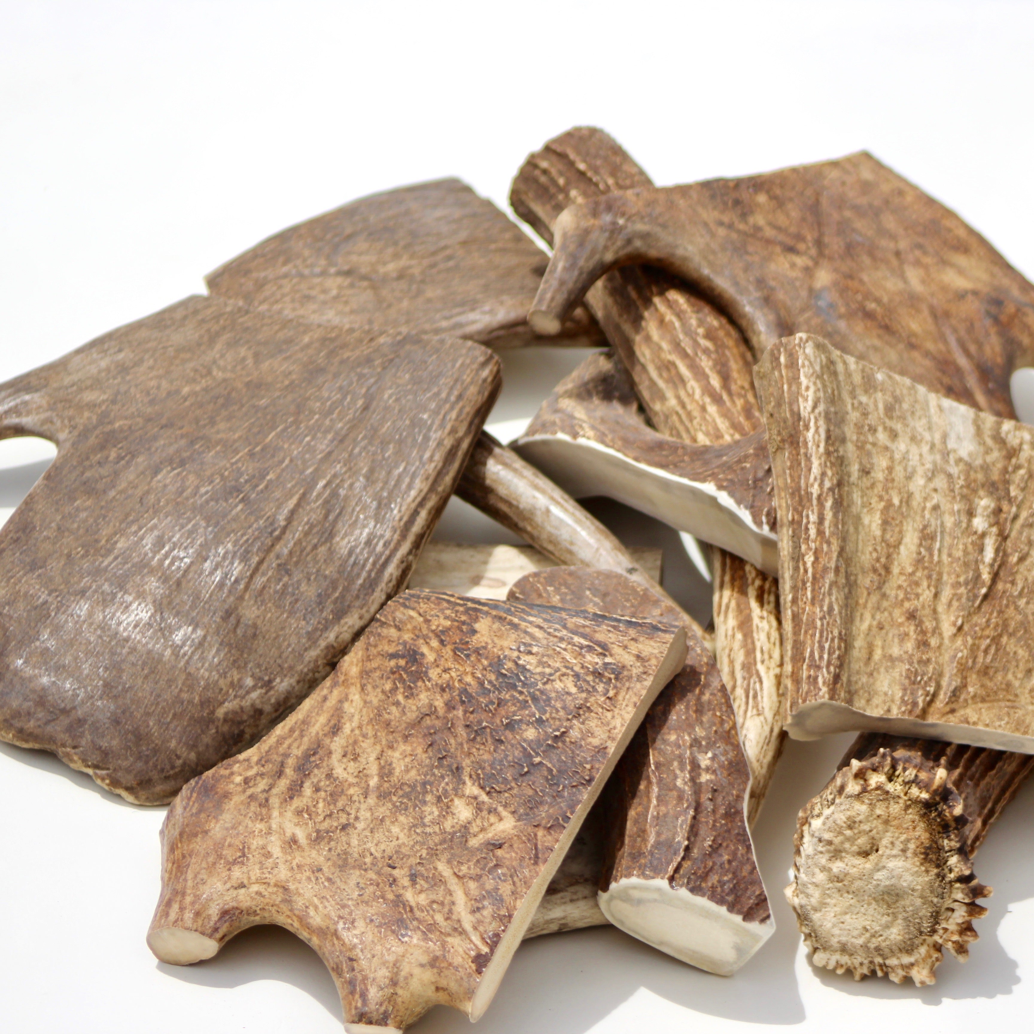 Elk, Deer, and Moose. What is the best antler chew for my dog?