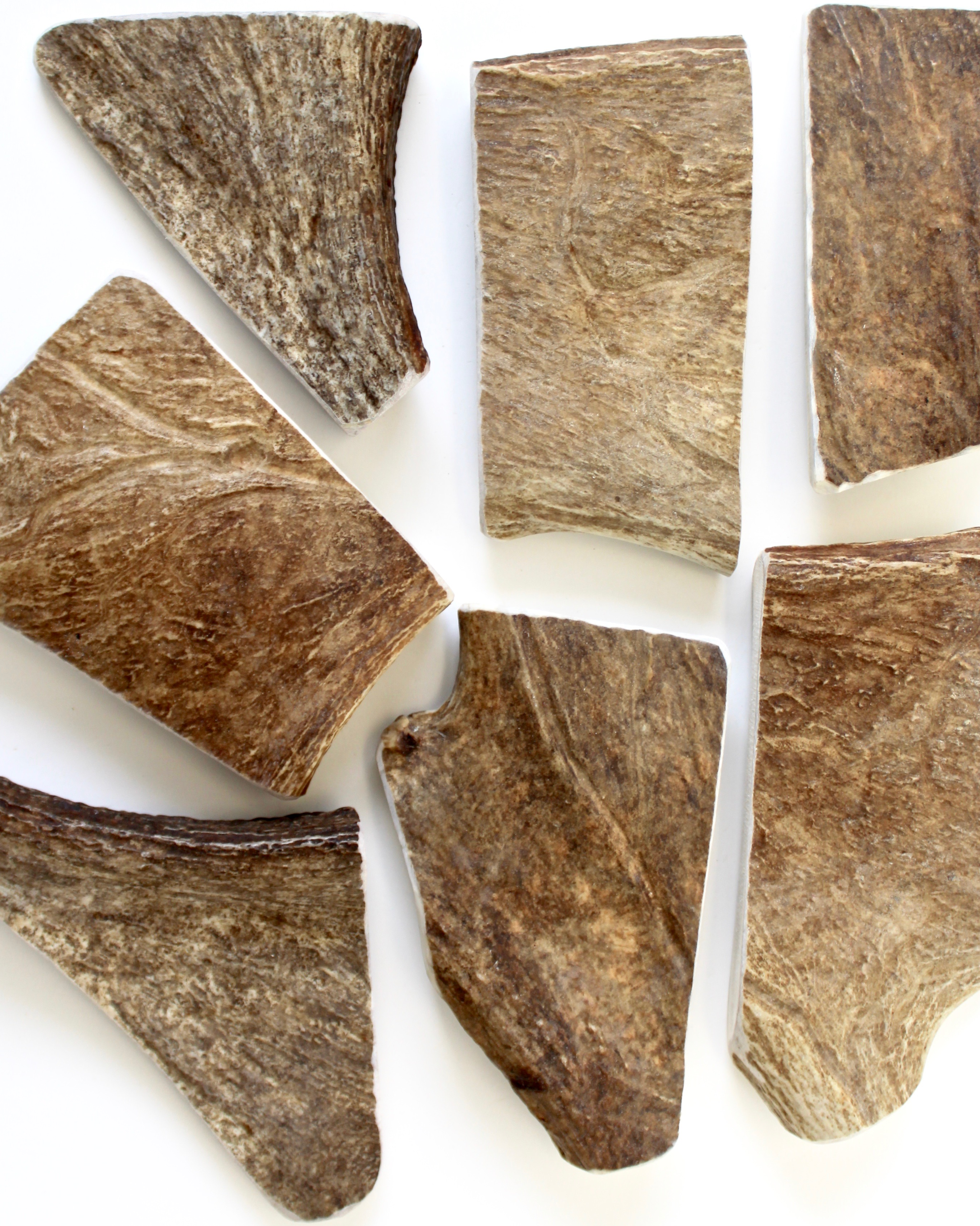 Moose Antler Dog Chews