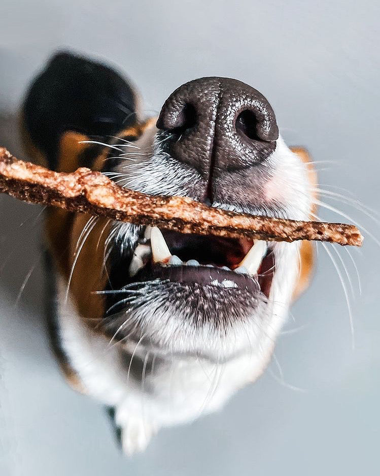 Dehydrated Treats
