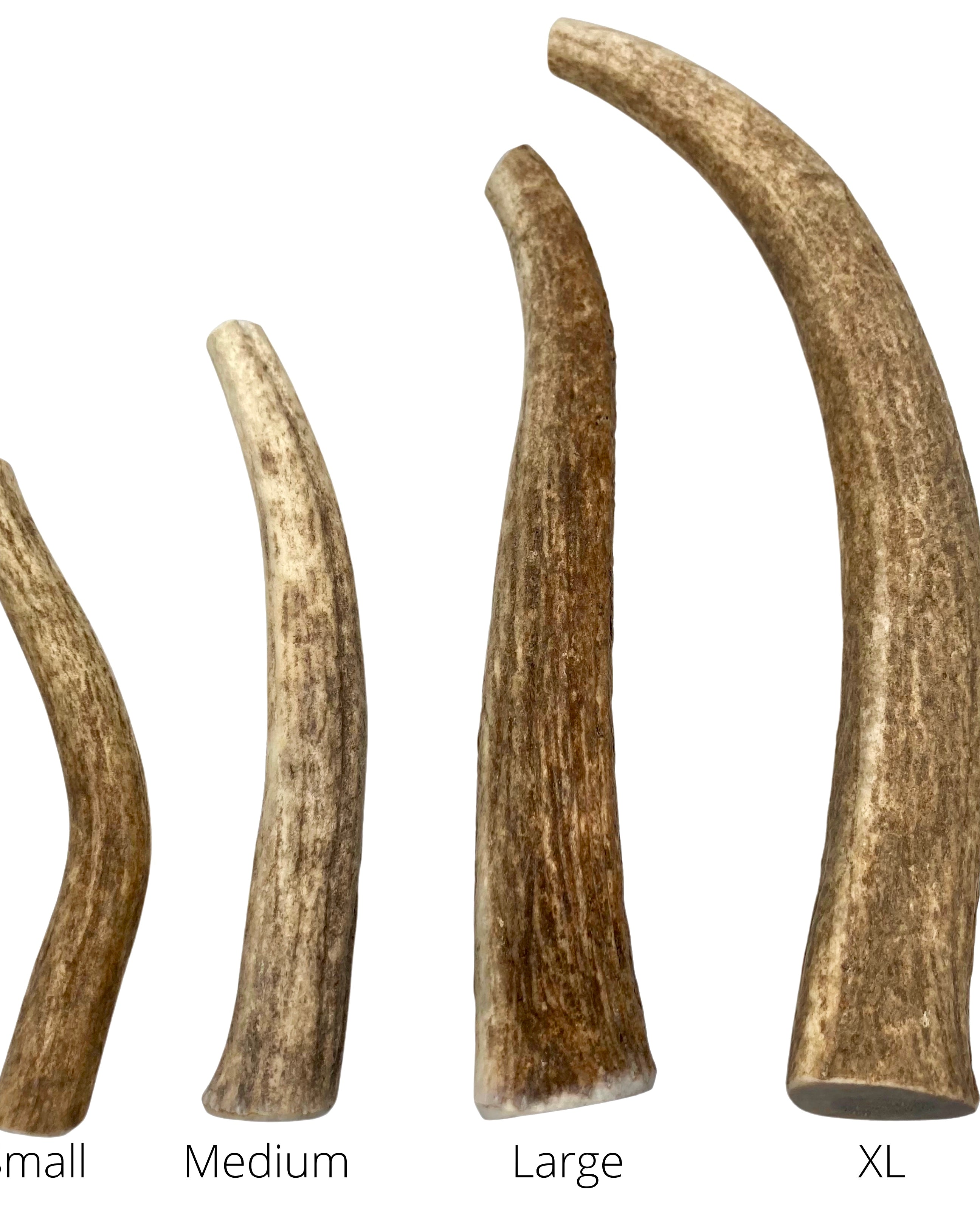 Elk Antler Dog Chews
