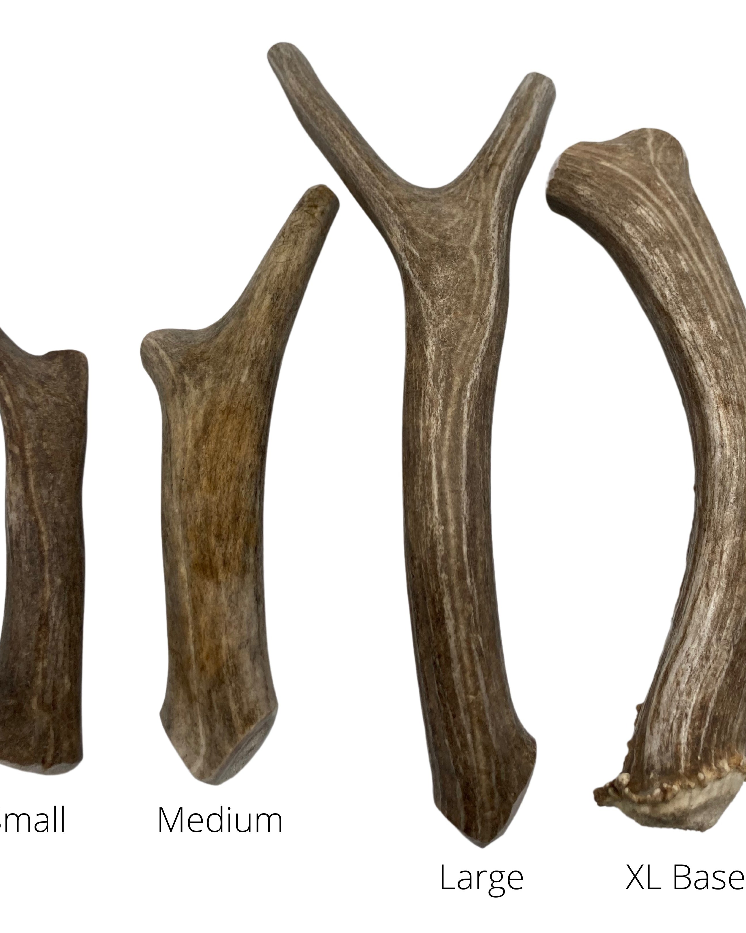 Deer Antler Dog Chews