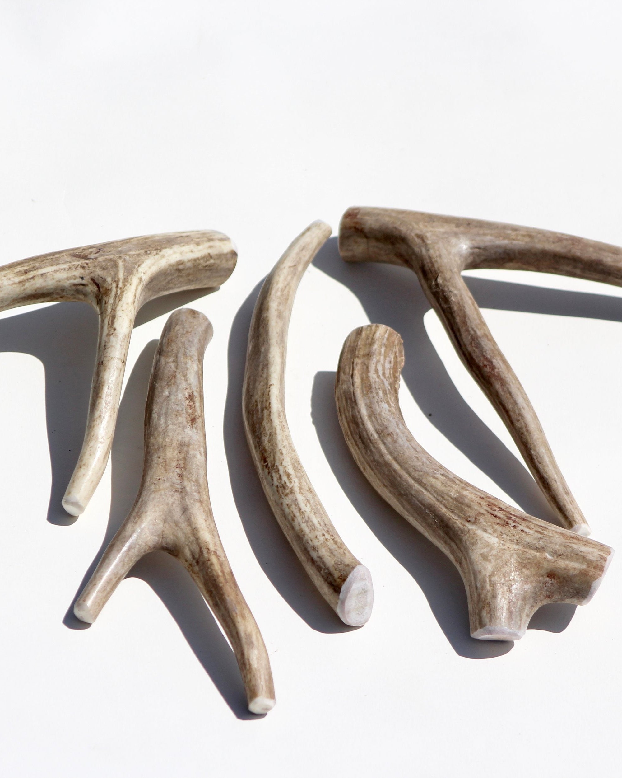 1lb Bulk Deer Antler Dog Chews
