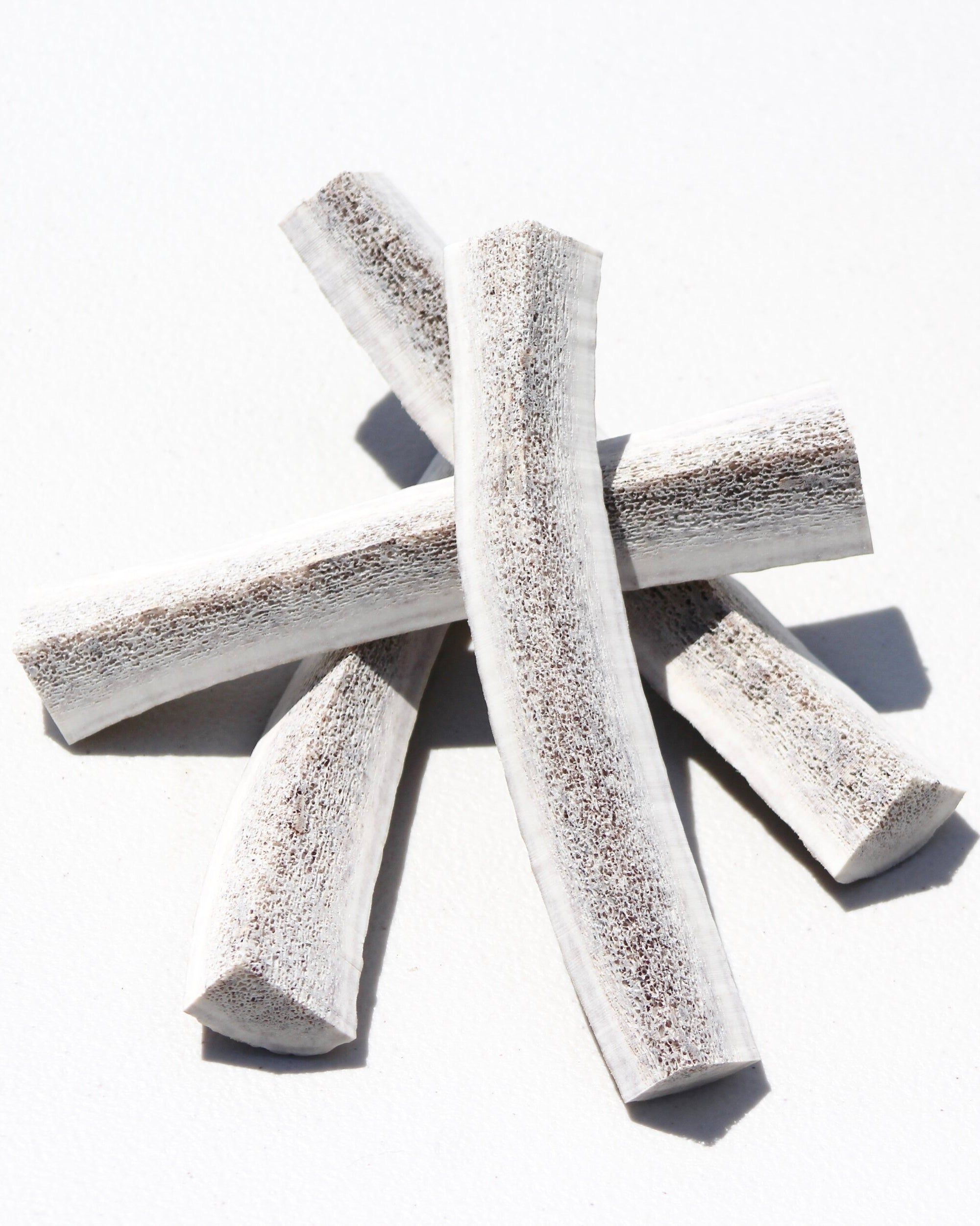 Puppy Chews