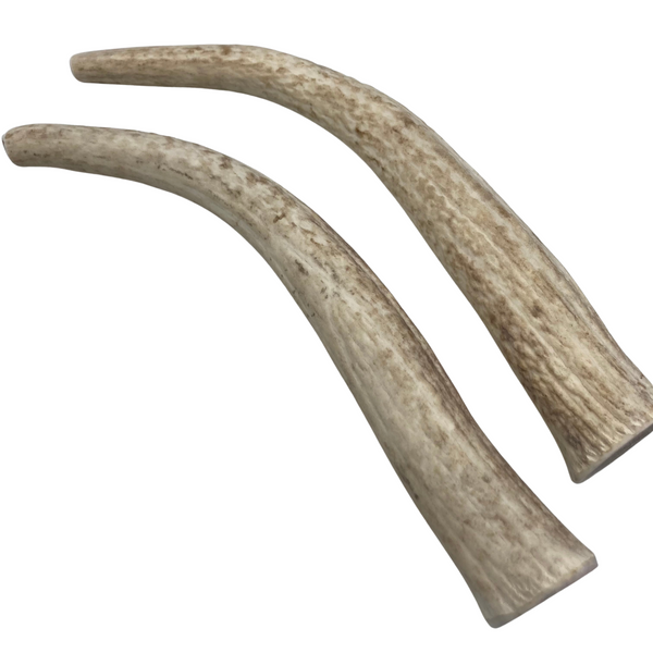 +12" XL Elk Tine Bundle (2 pack/Strong Chewers)
