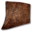 Large moose paddle chew on a white background