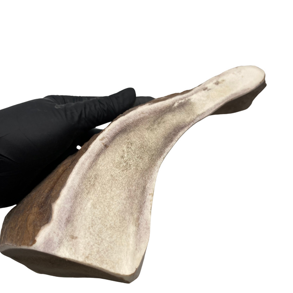 Thick XL Moose Paddle (Medium-high Density)