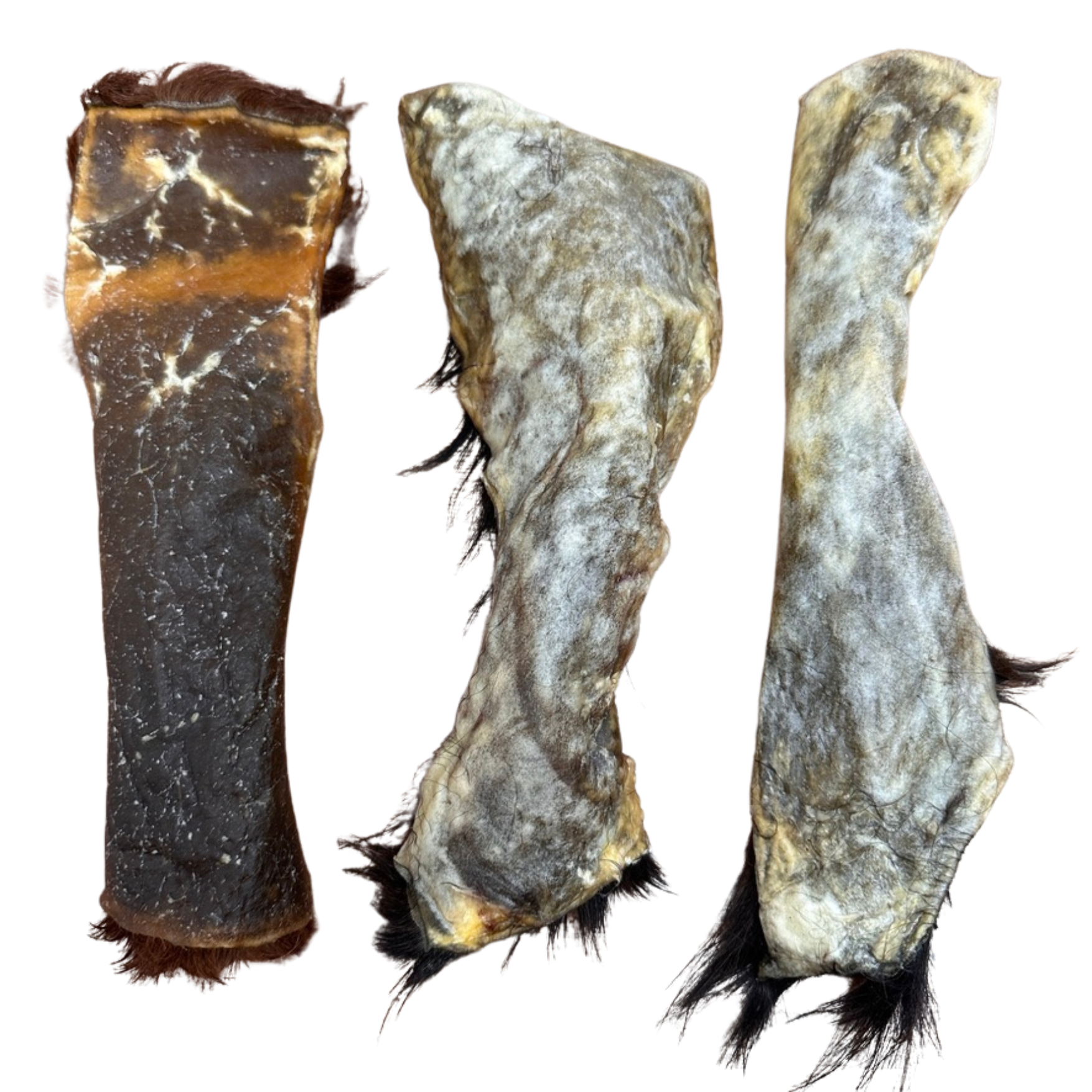 Three dried natural cow hides on a white background