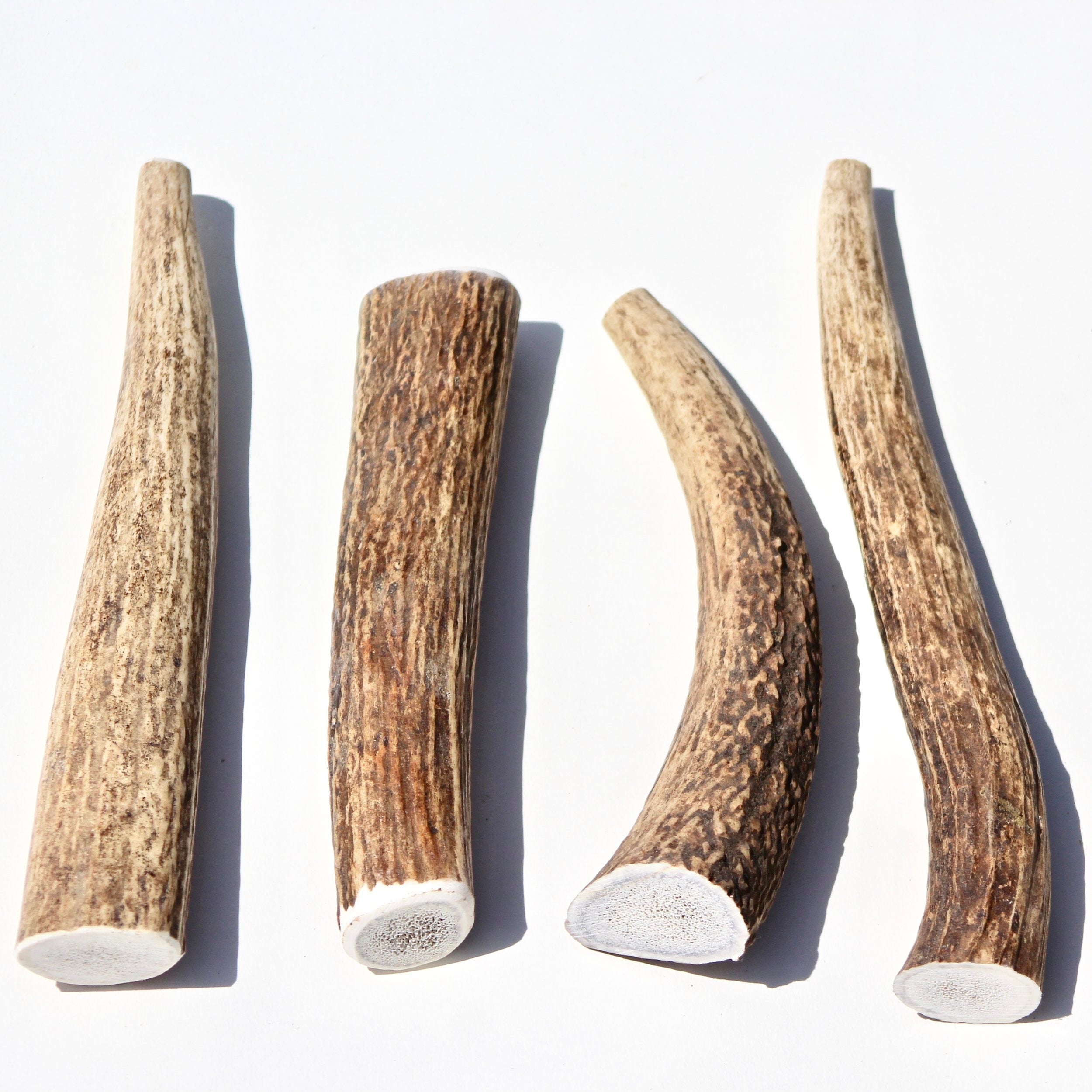 1lb-bulk-whole-elk-chewy-pawz-antler-dog-chews