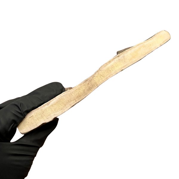 Moose Paddle (Medium density)