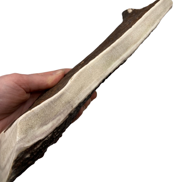 10" XL Moose Moose Paddle (Medium-high density)