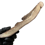 Thicker Moose End (Medium Density)