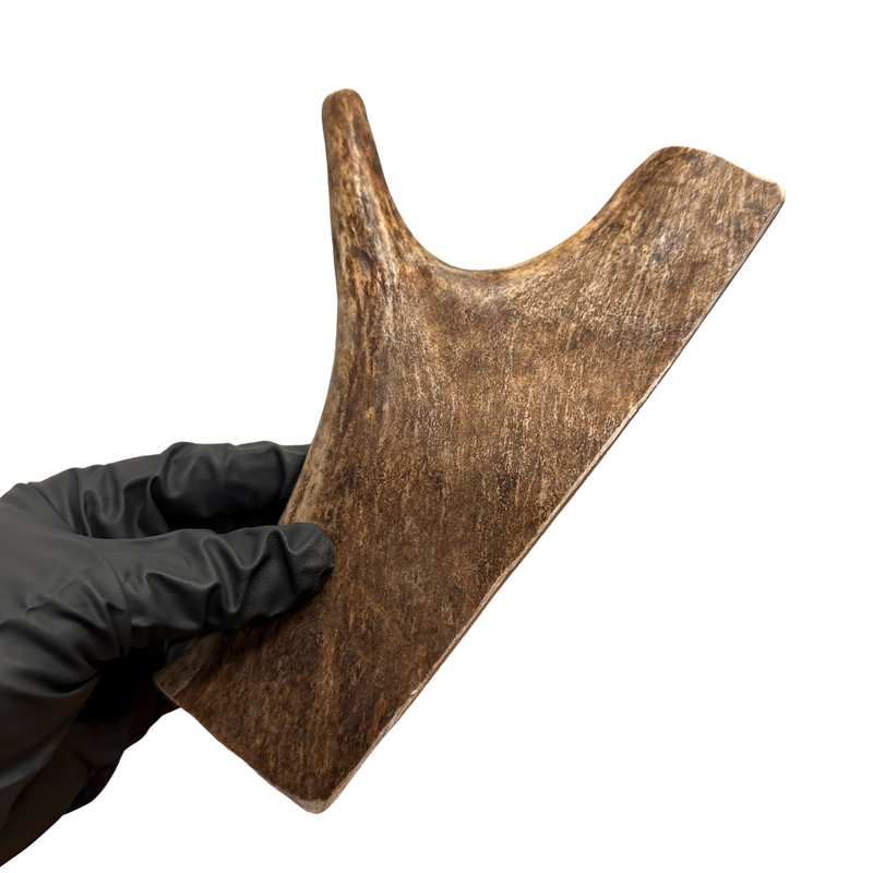 Moose Paddle (Medium Density)