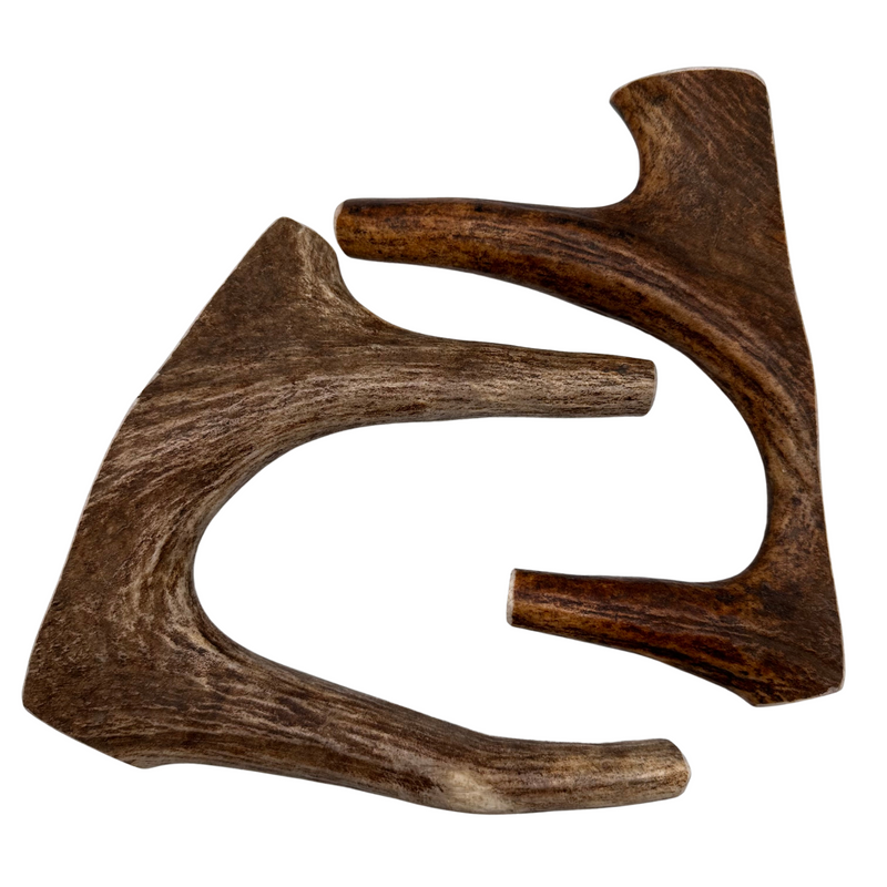 Moose Paddles (Medium-high Density/2 Pack)