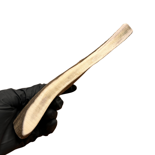 Moose Paddle (Medium-high Density)
