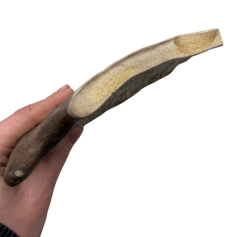 Moose Paddle (Medium-low Density)