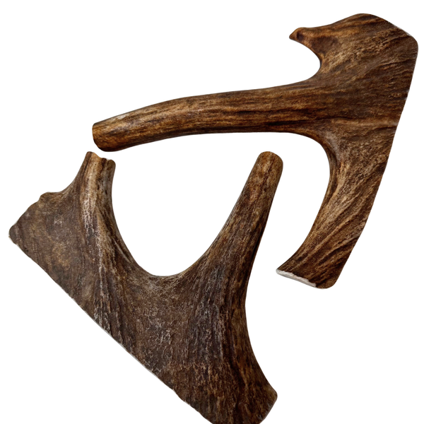 Moose Paddles + Tines (Medium Density/2 Pack)