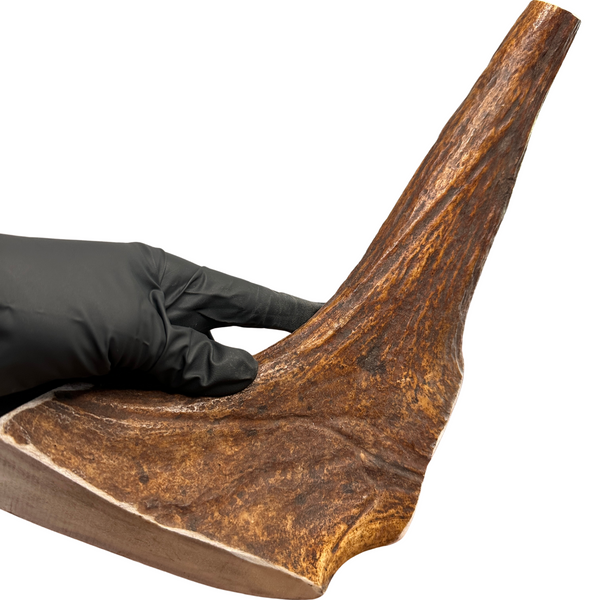 13.5" XL Thick Moose Chunk (Strong Chewers)