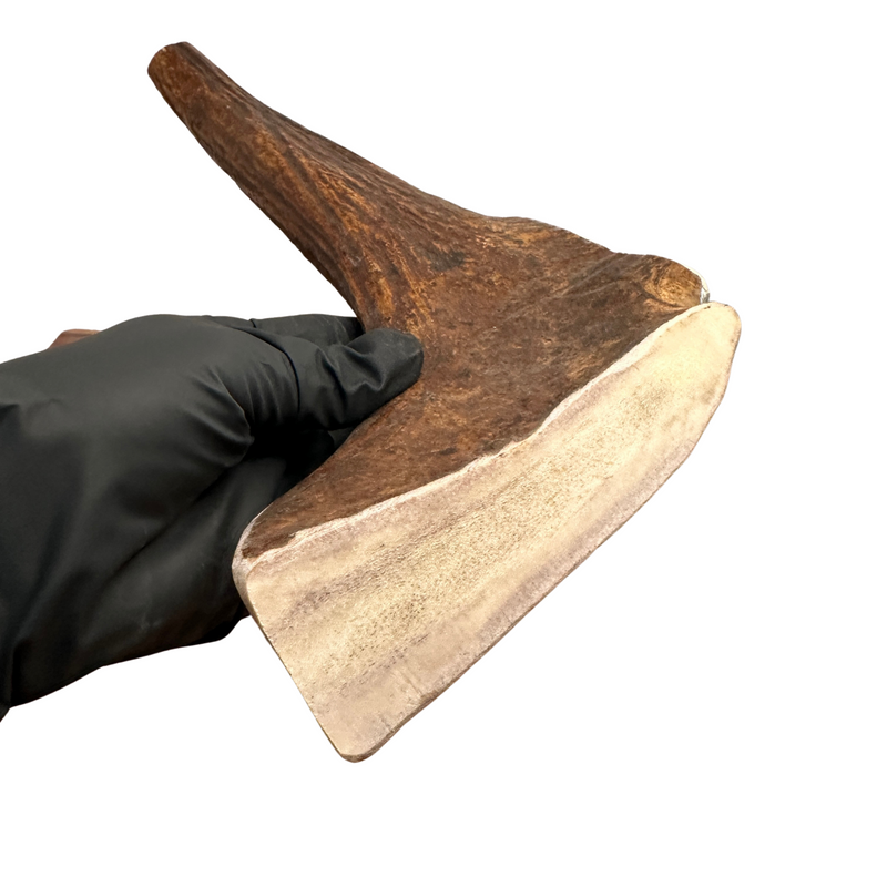 13.5" XL Thick Moose Chunk (Strong Chewers)