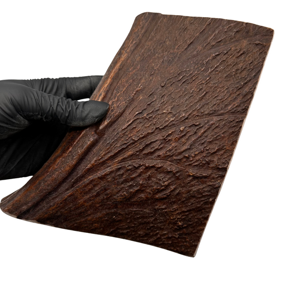 XL Thick Moose Paddle (Medium-high Density)