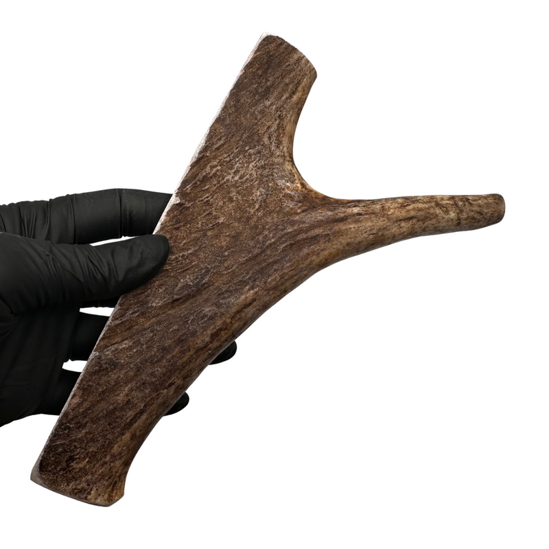 Moose Paddle (Medium Density)