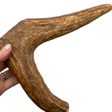 Large Moose Fork (Strong Chewers)