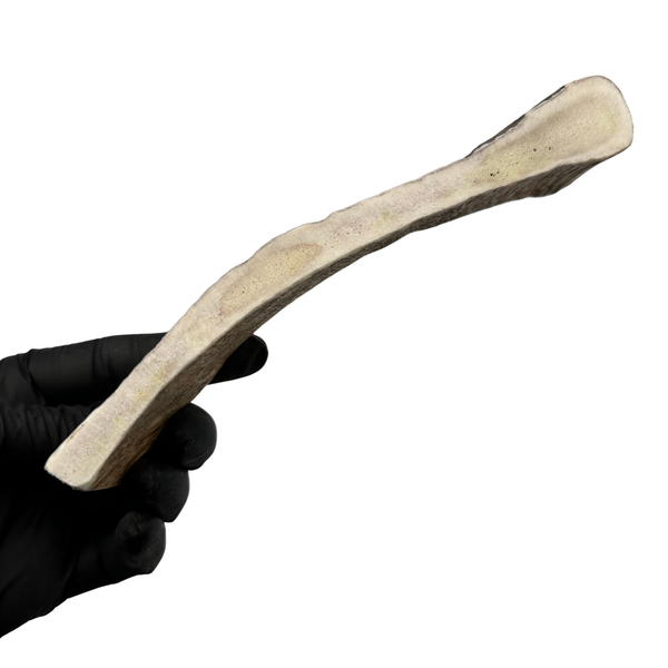 Moose Paddle (Medium-low density)