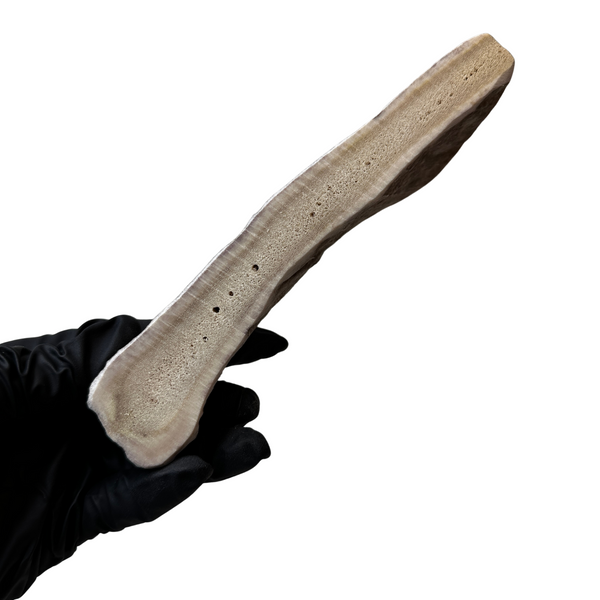 Thicker Moose Paddle (Medium Density)