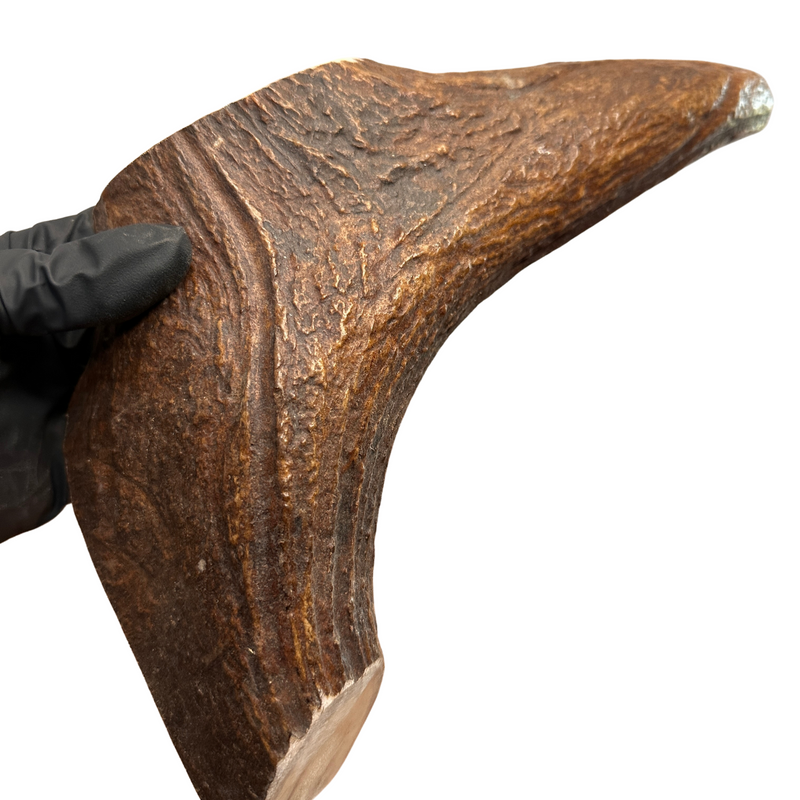 13.5" XL Thick Moose Chunk (Strong Chewers)