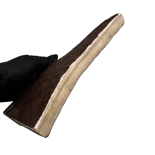 XL Thick Moose Paddle (Medium-high Density)