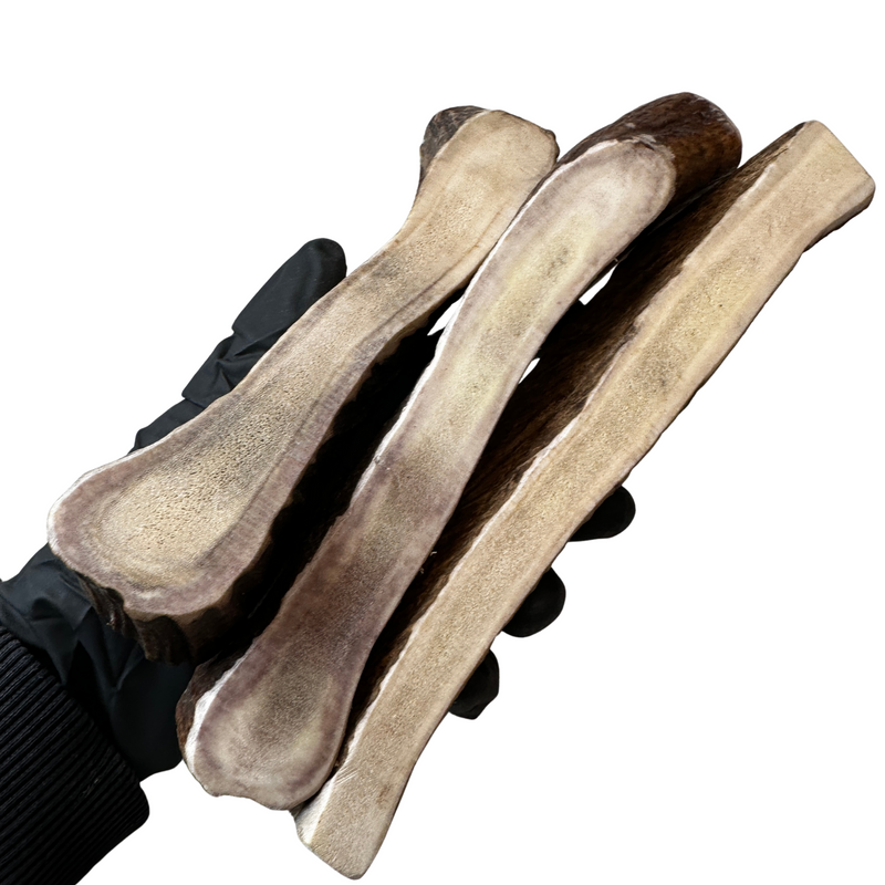 Moose Paddles (Medium-high Density/3 Pack)