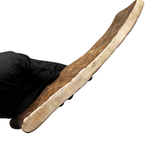 Moose Paddle (Medium Density)