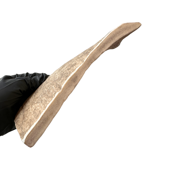 Moose Paddle (Medium density)