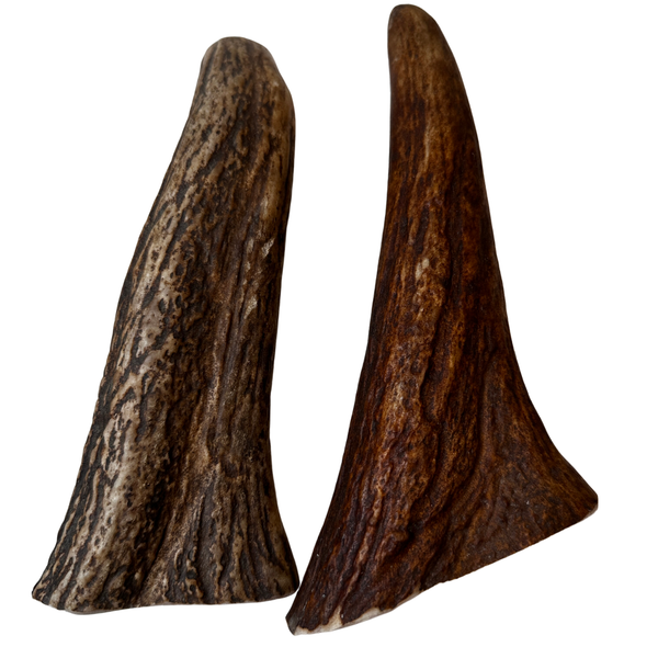 Moose Tines (Strong Chewers/2 Pack)