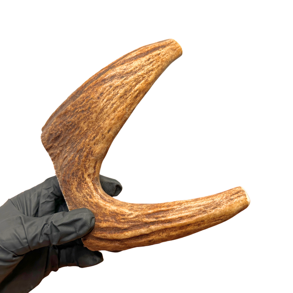 Moose Fork (Strong Chewers)