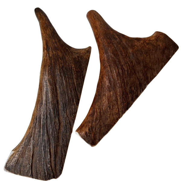 Moose Paddles (Medium Density/2 Pack)