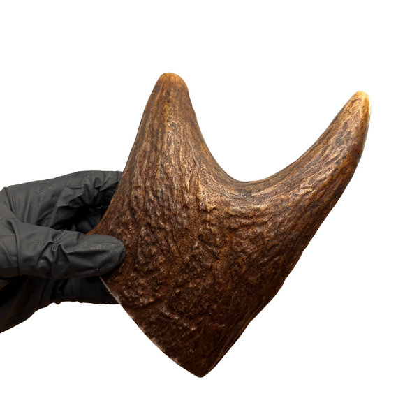 Moose Fork (Medium-high Density)