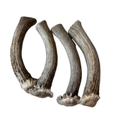 Deer Base Bundle (4 pack)