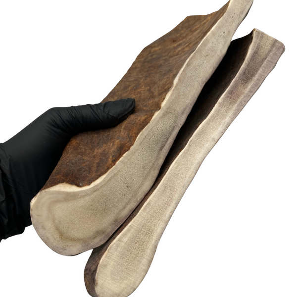 XL Thick Moose Paddles (Medium-high Density/2 Pack)