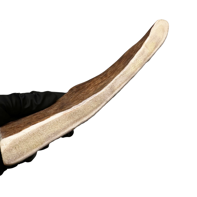 Moose Paddle (Medium Density)