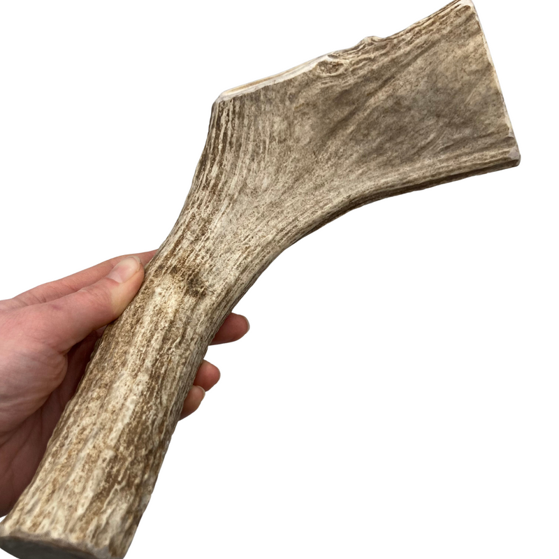 13" XL Moose Base (Strong Chewers/No Burr)