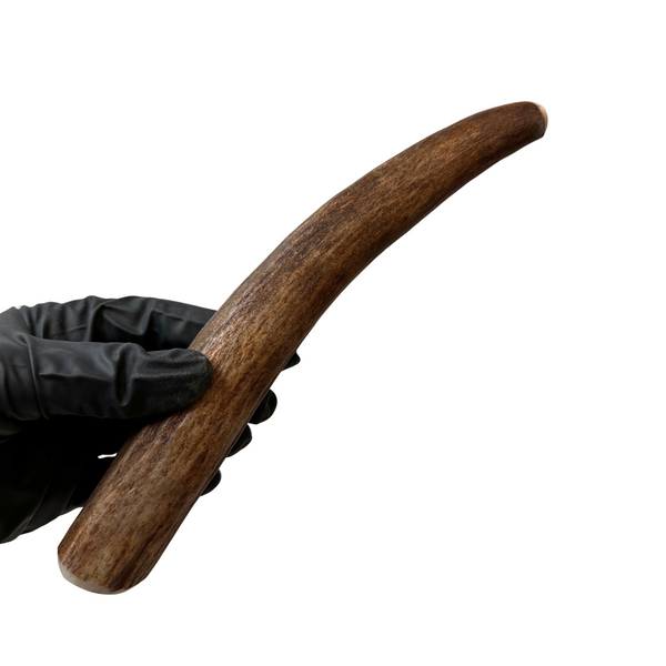 Moose Tine (Strong Chewers)