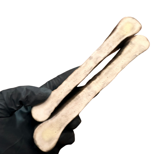 Small Moose Paddles (Medium Density/2 Pack)