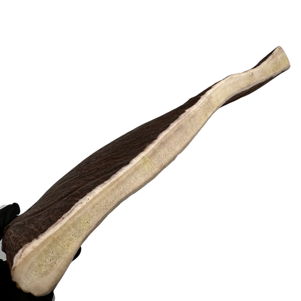 11.5" Moose Paddle (Medium-high Density)