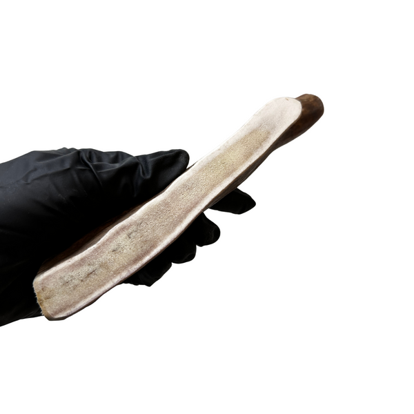 Moose Paddle (Medium-high Density)