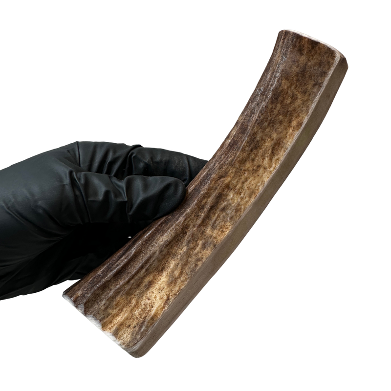 Moose Paddle (Medium-high Density)