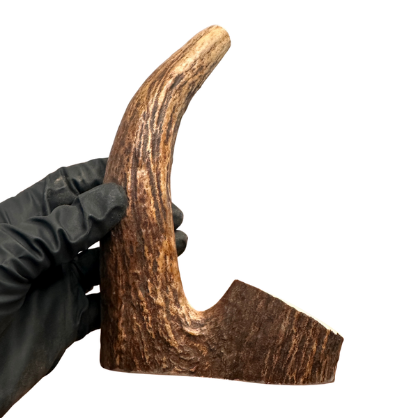 7.5" Moose Tine (Stronger Chewers)