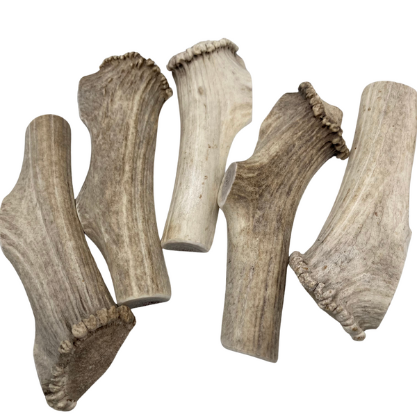 Split Elk Base Bundle (5 pack)