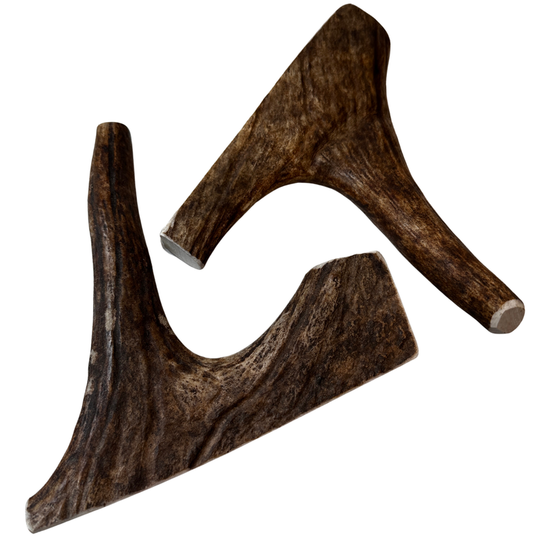 Moose Paddles + Tines (Medium Density/2 Pack)