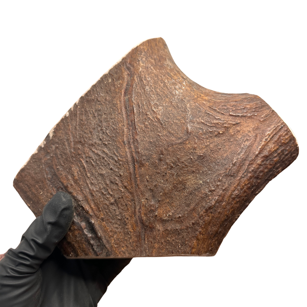Large Thick Moose Chunk (Powerchewers)